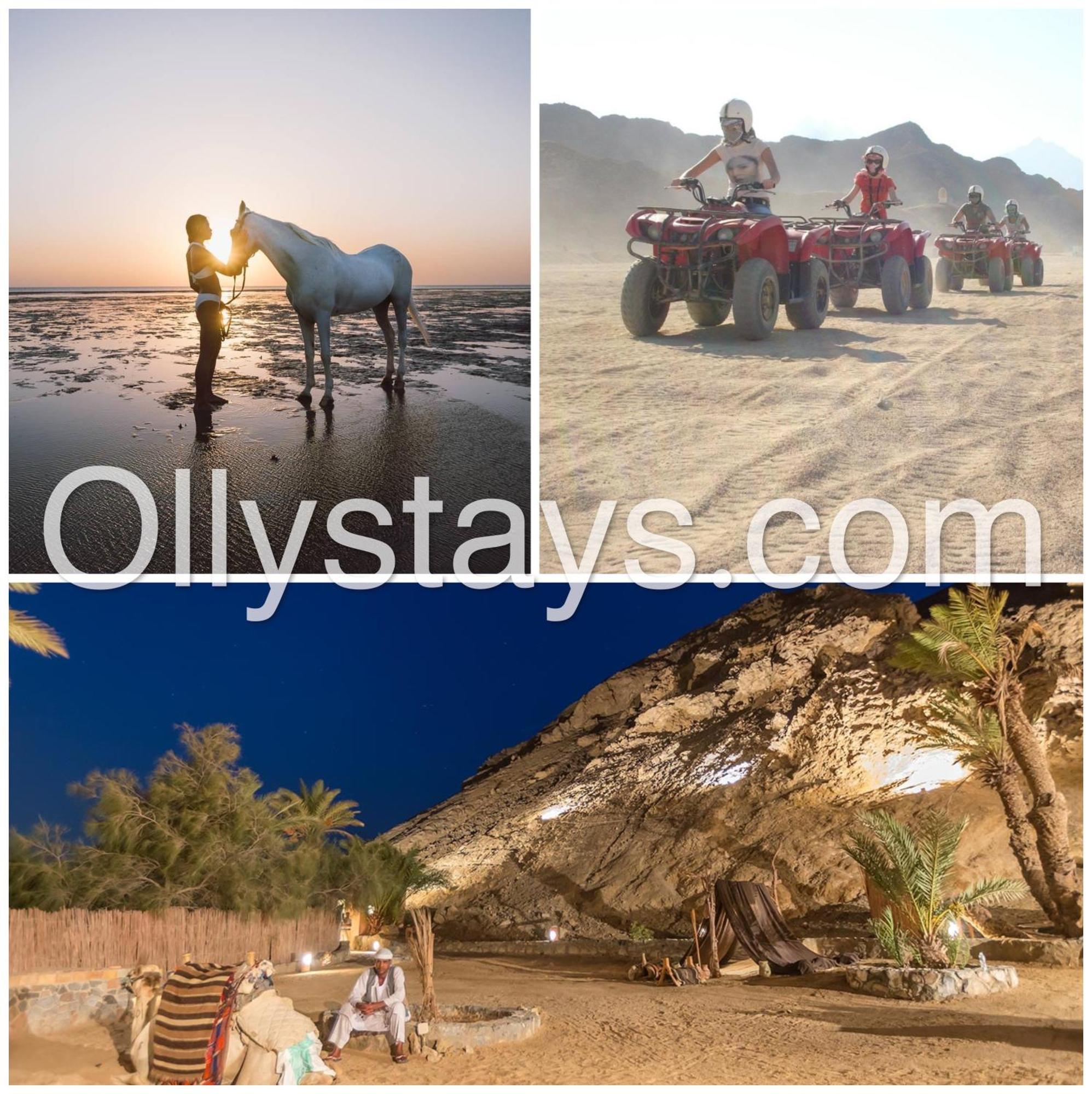 Ollystays Shedwan 1br Pool & Lagoon Access * Hurghada